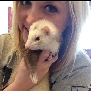 Meet your Posher, Erica